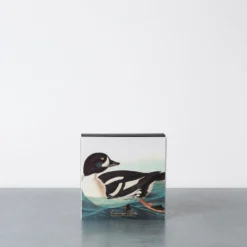 Boite de 125 allumettes - Canard - Archivist