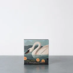 Boite de 125 allumettes - Cygne - Archivist