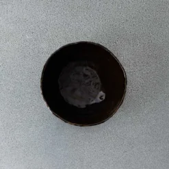 Bol Bolet - Ecorce