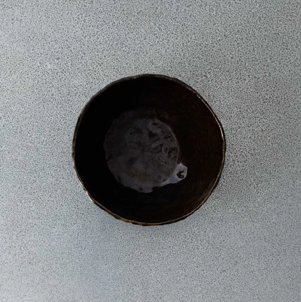 Bol Bolet - Ecorce