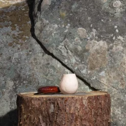 Boîte champignon en faïence