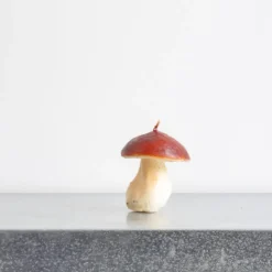 Bougie - Champignon