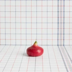 Bougie - Oignon