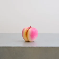 Bougie - Pêche