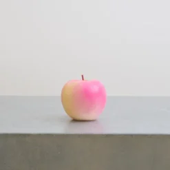 Bougie - Pêche