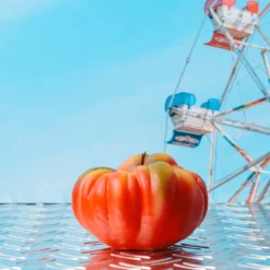 Bougie - Tomate Coeur de Boeuf