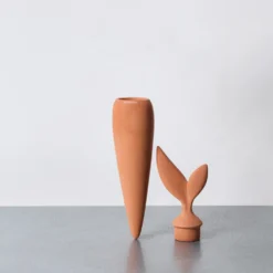 Cone d'arrosage - Carotte