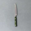Couteau à steak Pakka - Vert