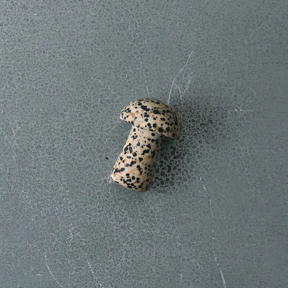 Gua Shroom - Dalmatian