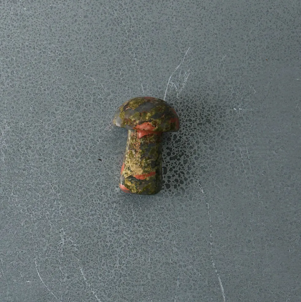 Gua Shroom - Unakite