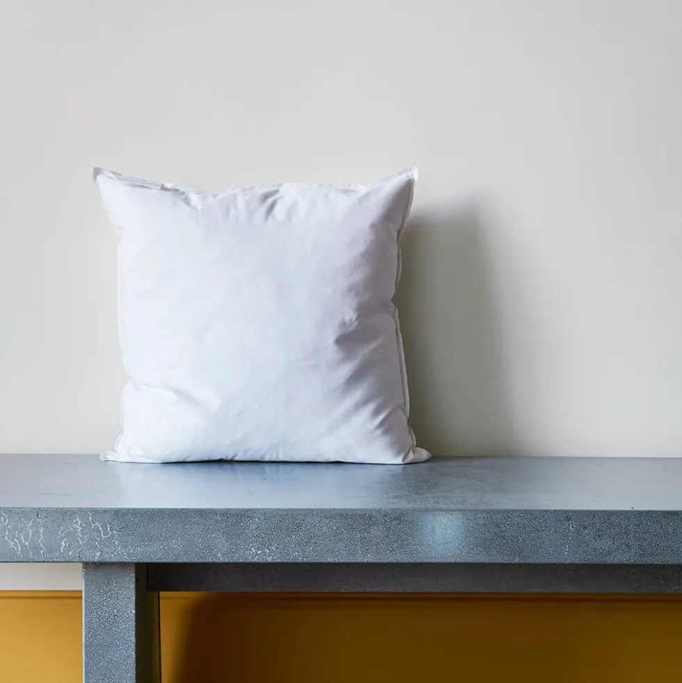 Intérieur de coussin en plume d'oie - Blanc
