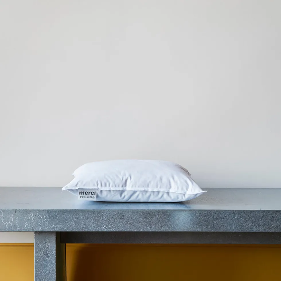 Intérieur de coussin en plume d'oie - Blanc