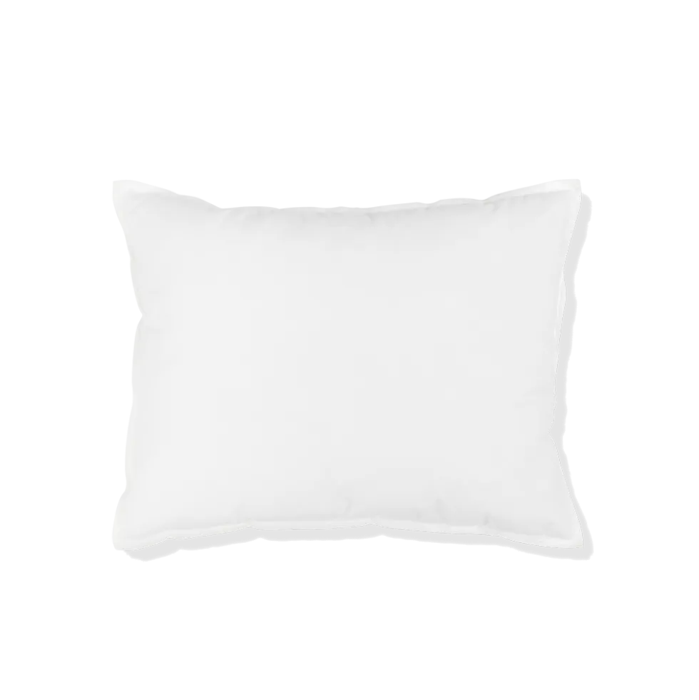 Intérieur de coussin en plume d'oie - Blanc