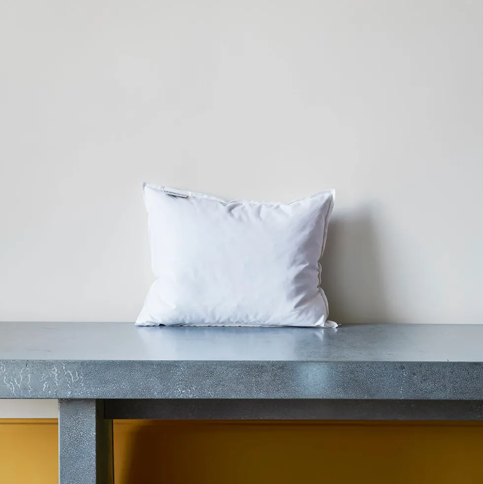 Intérieur de coussin en plume d'oie - Blanc