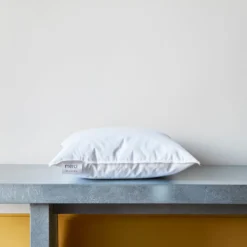 Intérieur de coussin en plume d'oie - Blanc