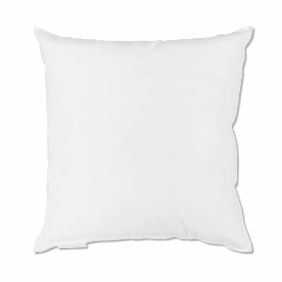 Intérieur de coussin en plume d'oie - Blanc