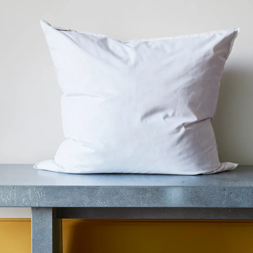 Intérieur de coussin en plume d'oie - Blanc