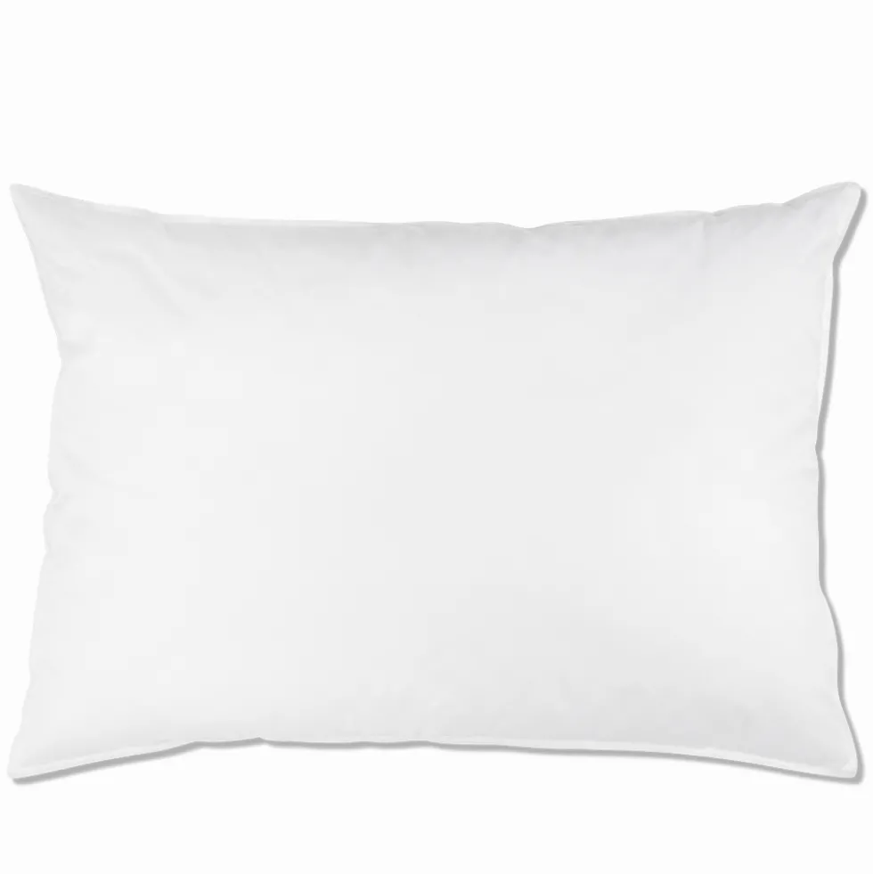 Intérieur de coussin en plume d'oie - Blanc