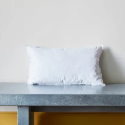Intérieur de coussin en plume d'oie - Blanc