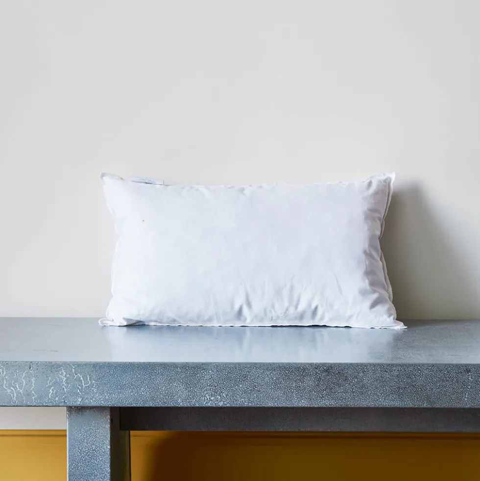 Intérieur de coussin en plume d'oie - Blanc