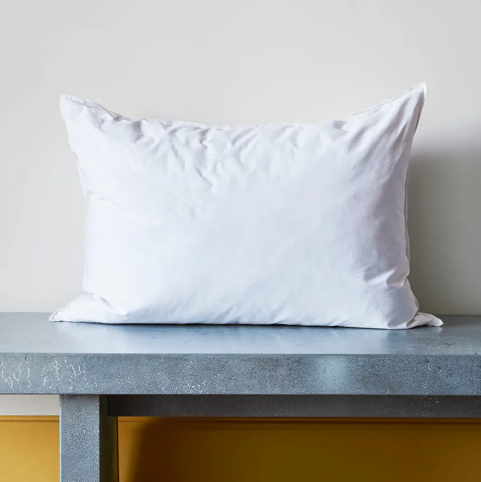 Intérieur de coussin en plume d'oie - Blanc