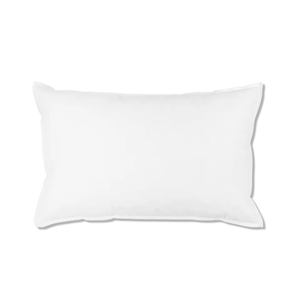 Intérieur de coussin en plume d'oie - Blanc