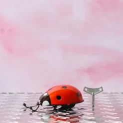 Jouet - Coccinelle Rouge
