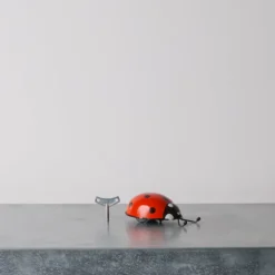 Jouet - Coccinelle Rouge