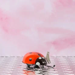 Jouet - Coccinelle Rouge