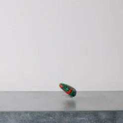 Jouet - Grenouille