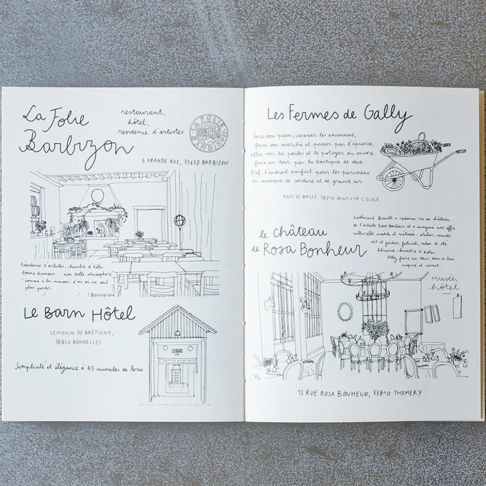 Livre - Carnet du Voyageur France