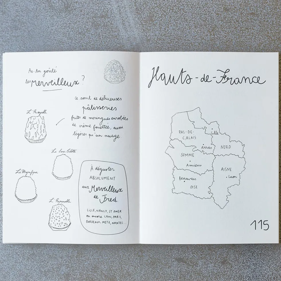 Livre - Carnet du Voyageur France