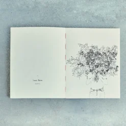 Livre - Fleurs de Zoé de las Cases