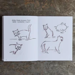 Livre - I Can Draw Cats