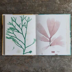 Livre - John Deran Stickers Book