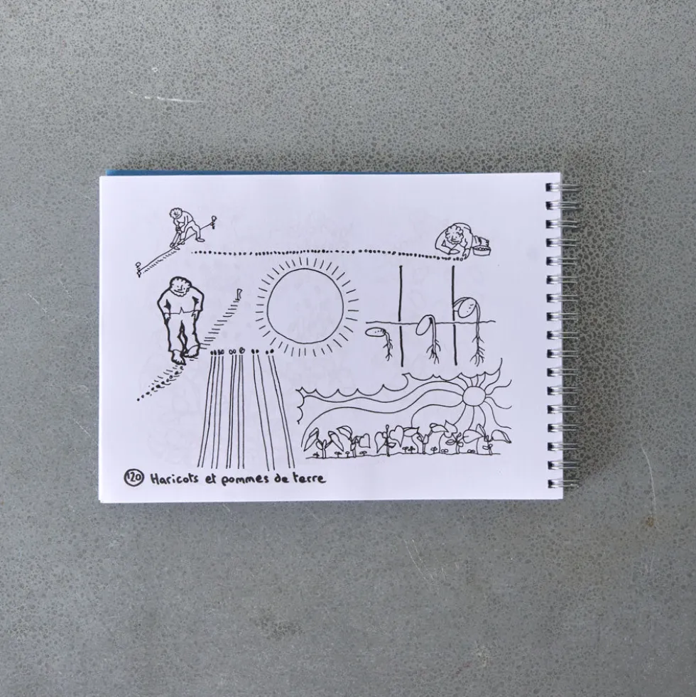 Livre - La Terre Revit