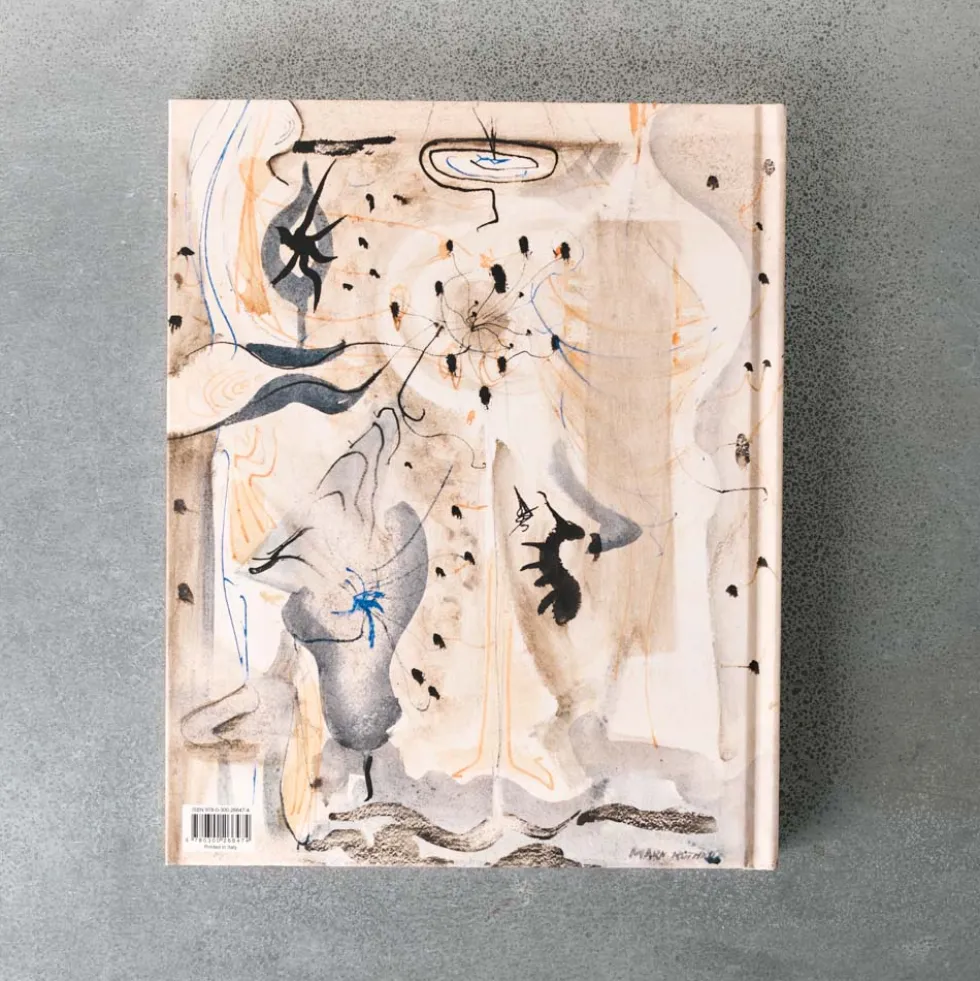 Livre - Mark Rothko : Paintings on Paper