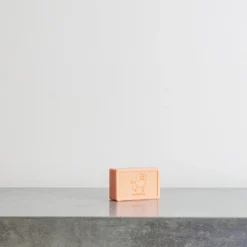Savon à la cannelle - Archivist
