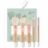 Set de pinceaux professionnels - Bachca
