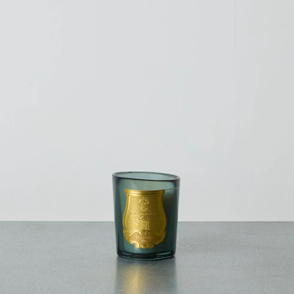 Trudon - Bougie parfumée Figuerie - 70G