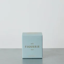 Trudon - Bougie parfumée Figuerie - 70G