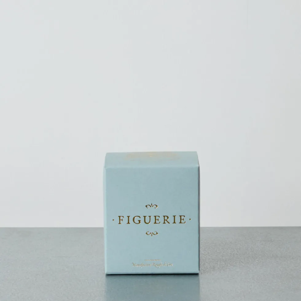 Trudon - Bougie parfumée Figuerie - 70G
